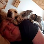 Profile Picture of Randy Goss (@goss.randy) on Instagram