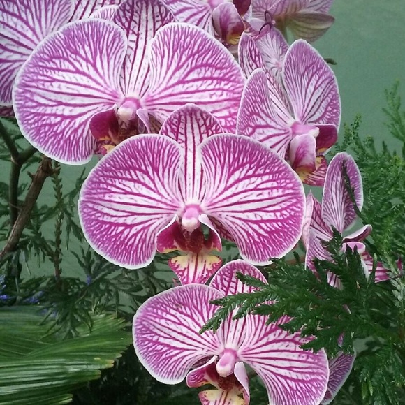 Alina Rosentall - Poshmark Profile Picture of Alina Rosentall (@alinabeauty) on Poshmark