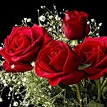 Profile Picture of Lucy Eddy (@lucyeddy3) on Instagram