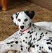 Profile Picture of Gary Hoadley (@gary.hoadley.16) on Facebook