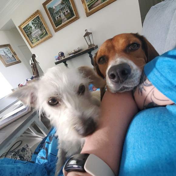 Profile Picture of Laura Spurgeon (@lspurgeon3) on Poshmark