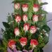 Profile Picture of Andrea Olmedo (@andrea.olmedo.737001) on Facebook