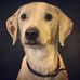 Profile Picture of Chase Wolff (@chase.wolff.73) on Facebook