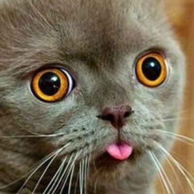 Profile Picture of James Moncrieff (@moncrieff_james) on Twitter