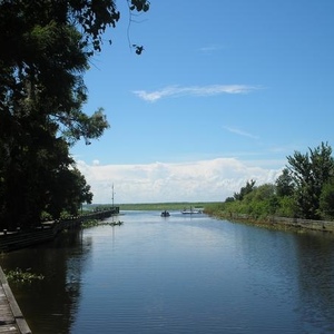 Profile Picture of Debbie Chappell (@338326772) on Myspace