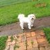 Profile Picture of Grant Shephard (@grant.shephard.14) on Facebook