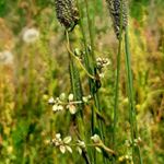 Profile Picture of Cindy McConnell (@cindy_mcconnell007) on Instagram