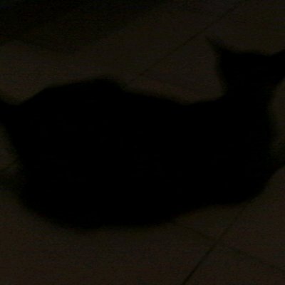 Profile Picture of Joe Myron (@joe_myron) on Twitter