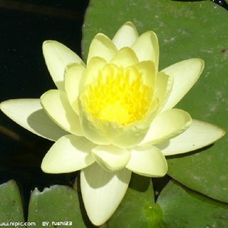 Profile Picture of Chiu Wu (@Chiu-Wu) on Facebook