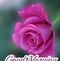 Profile Picture of Vince Bailey (@vince.bailey.1428) on Facebook