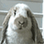 Zip-a-dee-do-dah - Flickr Profile Picture of Zip-a-dee-do-dah (@zip-a-dee-do-dah) on Flickr