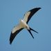 Profile Picture of Jeff Whitlock (@jeff.whitlock.102) on Facebook