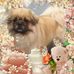 Profile Picture of Avril McLean (@avril.mclean.737) on Facebook