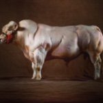 Profile Picture of zachary.blevins (@zachary.blevins) on Instagram