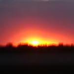 Profile Picture of Hope simpson (@cutepandabears134) on Instagram