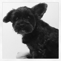 Profile Picture of Fernando Carneiro (@fernando-carneiro-14) on Quora