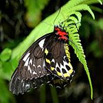 Profile Picture of Ruby Jarvis (@radoslaw.dr) on Instagram