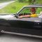 Profile Picture of Peter Calabretta (@Peter-Calabretta) on Facebook