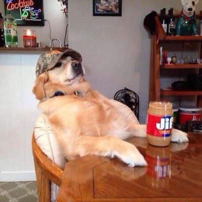 Profile Picture of BRYAN LOOK @ TWEET (@JSuckass) on Twitter