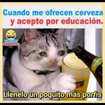 Profile Picture of Bayron Chapin (@mayron.pivaral.7) on Facebook