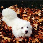 Profile Picture of Jeffrey Jacobson (@jeffrrjakester) on Instagram