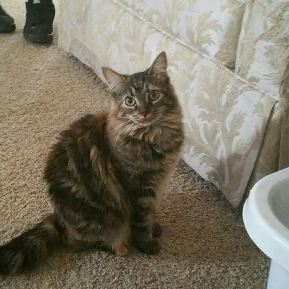 Profile Picture of Melanie Banner (@melban83) on Poshmark