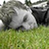 Profile Picture of rocksession.art (@rocksession.art) on Flickr