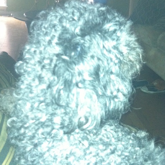 Profile Picture of Jazmine Wade (@jazipie) on Poshmark