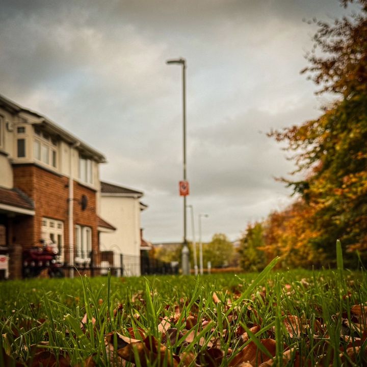 nathanbyrne01_ - Tiktok Profile Picture of nathanbyrne01_ (@nathanbyrne01_) on Tiktok