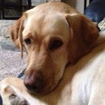 Profile Picture of Chris Cronk (@cronkchris) on Instagram