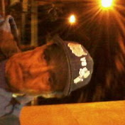 Profile Picture of Rey Alvarez (@reyalvarez5241) on Youtube