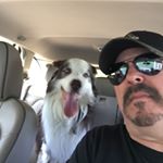 Profile Picture of Steve (@steve_cheadle) on Instagram