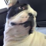 Profile Picture of Jose Luis Rodriguez Alba (@joseluisrodriguezalba) on Instagram