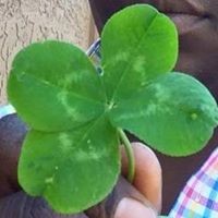 Profile Picture of Jimmy Isaac (@jimmy-isaac-3) on Quora