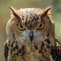 Profile Picture of Annie Reid (@annie-reid-6) on Quora