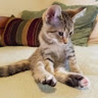 Profile Picture of Casey Prior (@casey-prior-7) on Quora