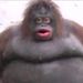 Profile Picture of ADRIAN SERRANO (@adrians3943) on Pinterest