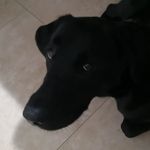 Profile Picture of ADRIÁN  LEZAMA (@lezama4real) on Instagram