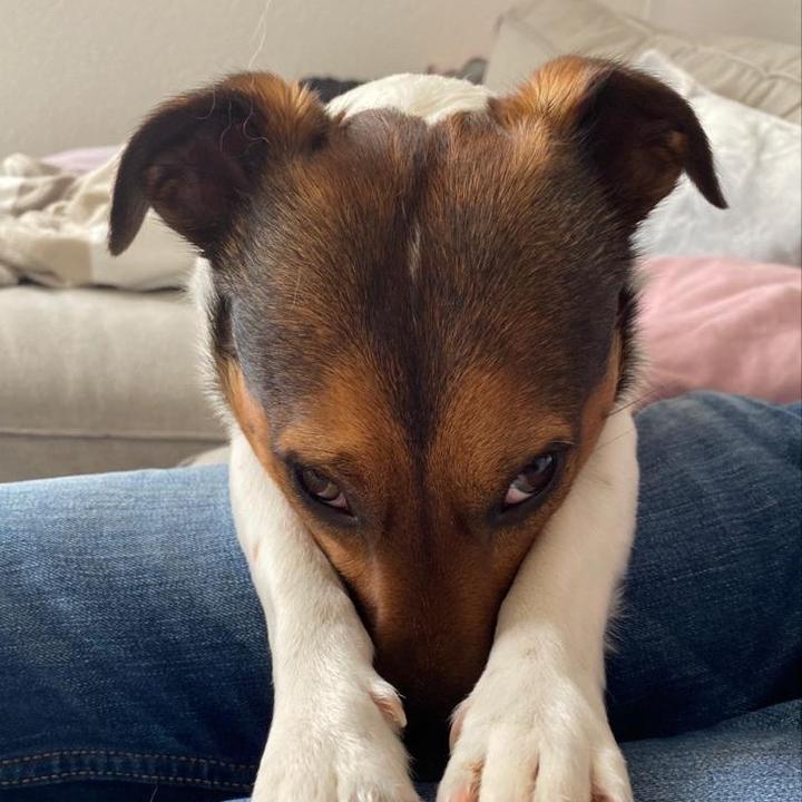 Profile Picture of Rex Erwin (@rexerwin) on Tiktok
