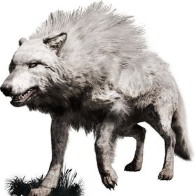 Profile Picture of SilverWolf (@aidanhajicek) on Pinterest