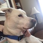 Profile Picture of vines keep me breathing (@shaepaw) on Instagram