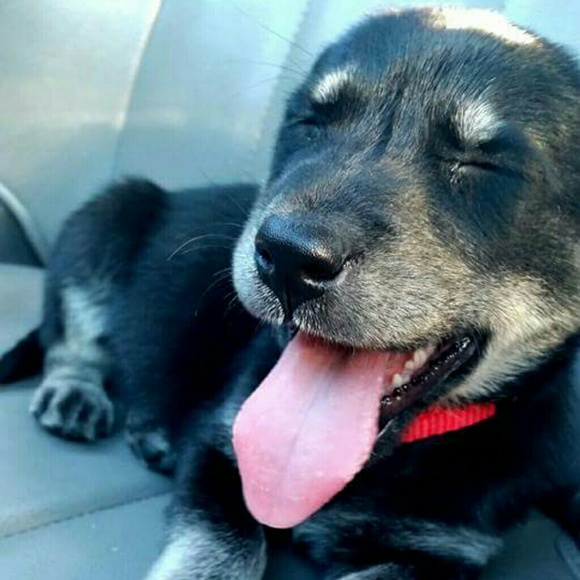 Profile Picture of Taylor Blackport (@t3114) on Poshmark