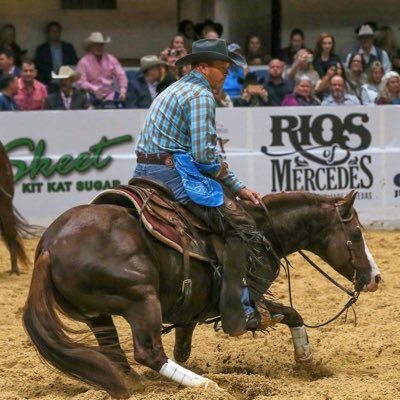 Profile Picture of Jay Novacek (@JayNovacek84) on Twitter