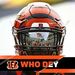 Profile Picture of Brad Koerner (@teddybear051687) on Pinterest