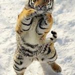 Profile Picture of andre warren (@warren2767) on Instagram