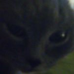 Profile Picture of Georgiy Cheberin (@georgiycheberin) on Instagram