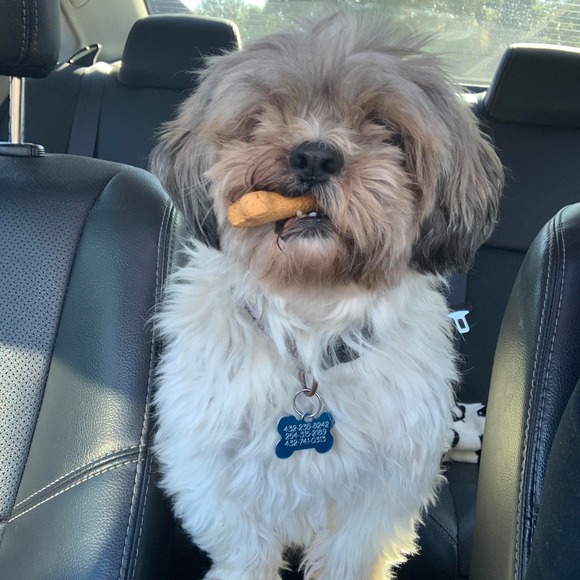 Profile Picture of Carrie Schneider (@schneider432011) on Poshmark