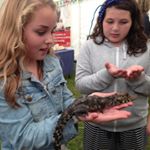 Profile Picture of Kathy Lesser (@kathy_m67) on Instagram