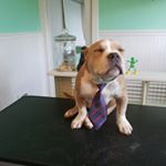 Profile Picture of travis Hammond (@leroy.jenkins_pit) on Instagram