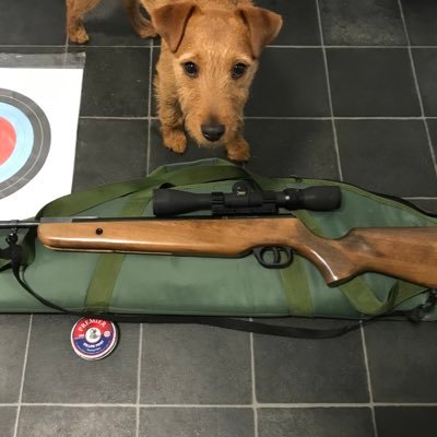 Profile Picture of James Strand (@JamesSt88380844) on Twitter